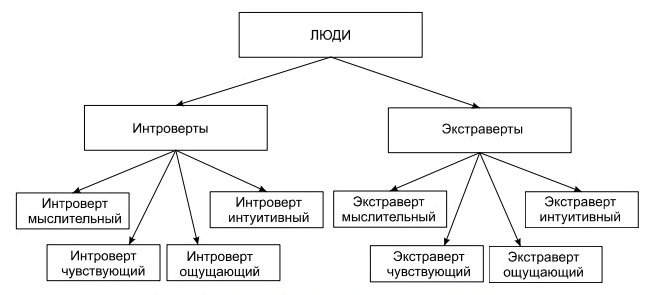 Четыре типа интровертов и экстравертов